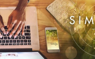 Simeka: Economic Commentary – July 2025